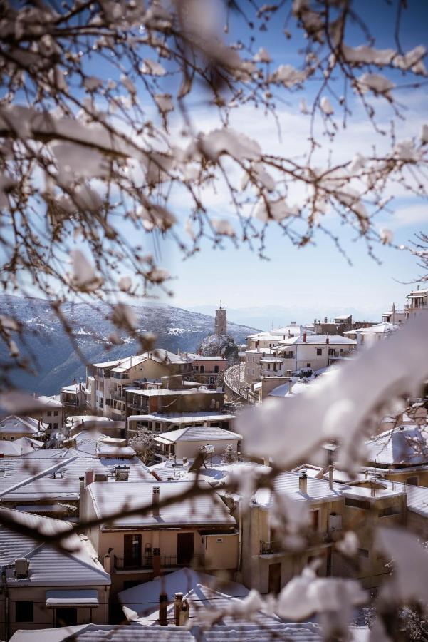 Hotel Paeonia Arachova Exteriér fotografie